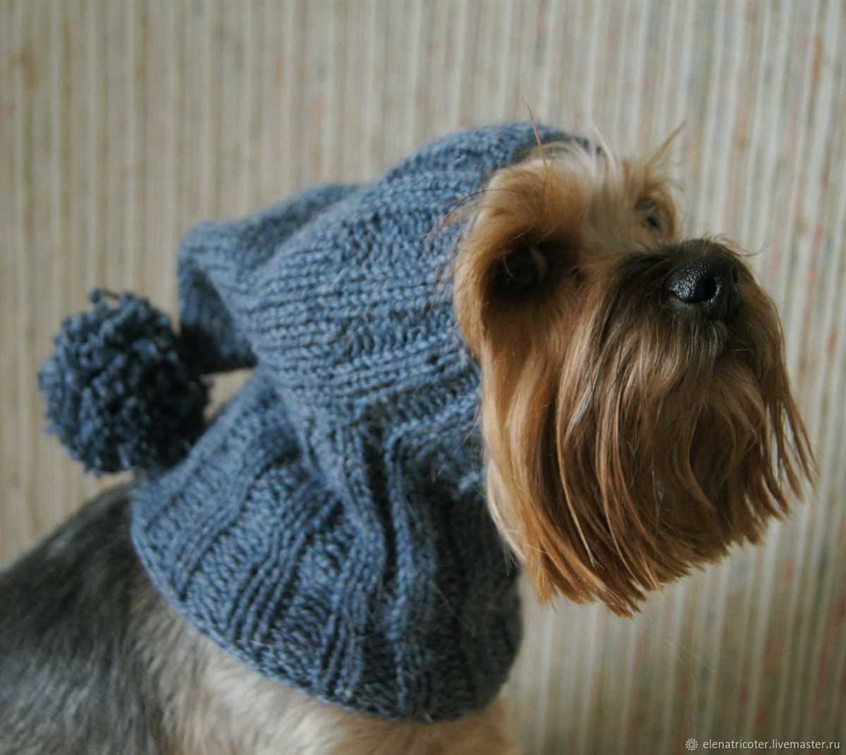 Easy dog hat knitting pattern