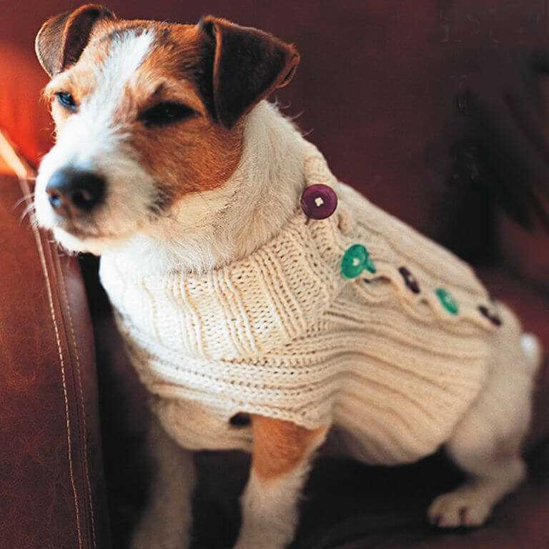 Free knitting pattern for dog coats