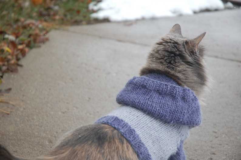 Free knitted cat sweater pattern