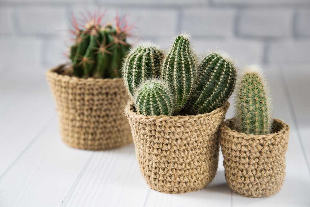 Knitted pot plant holders pattern