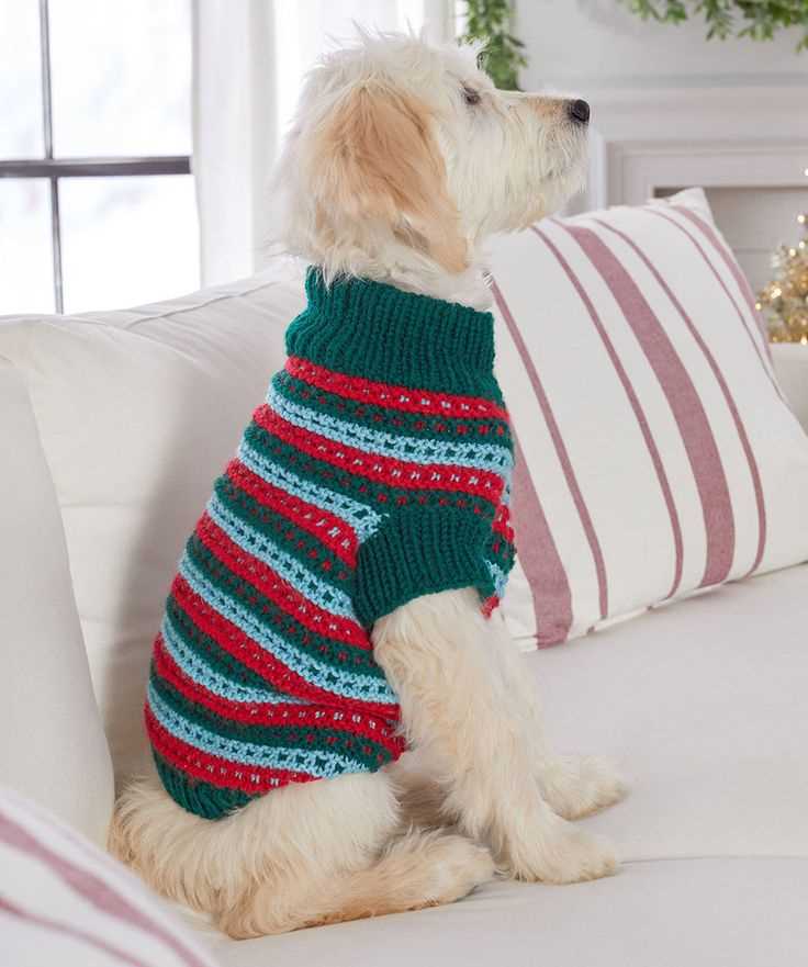 Knitting pattern for dog coat free