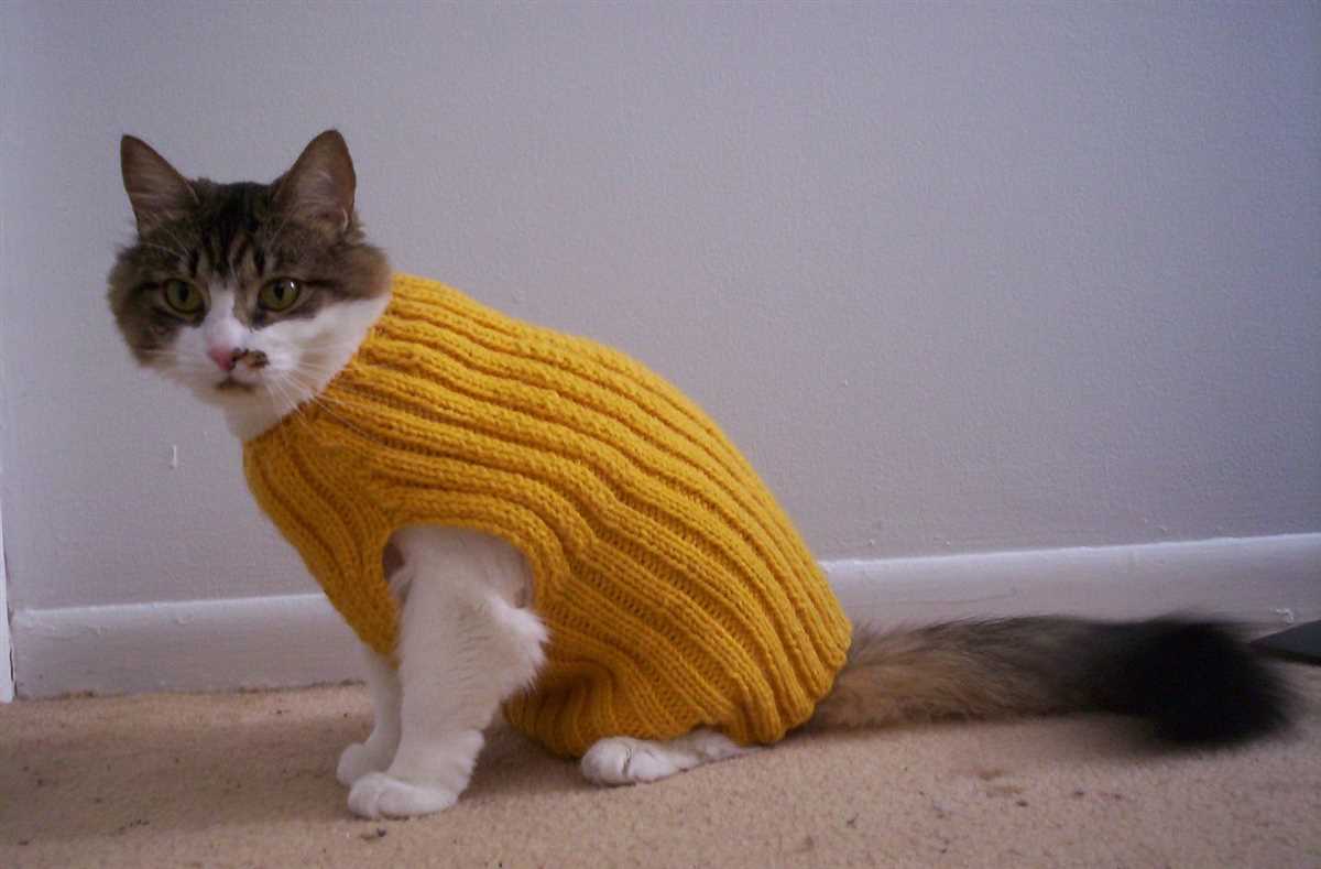 Free knitted cat sweater pattern