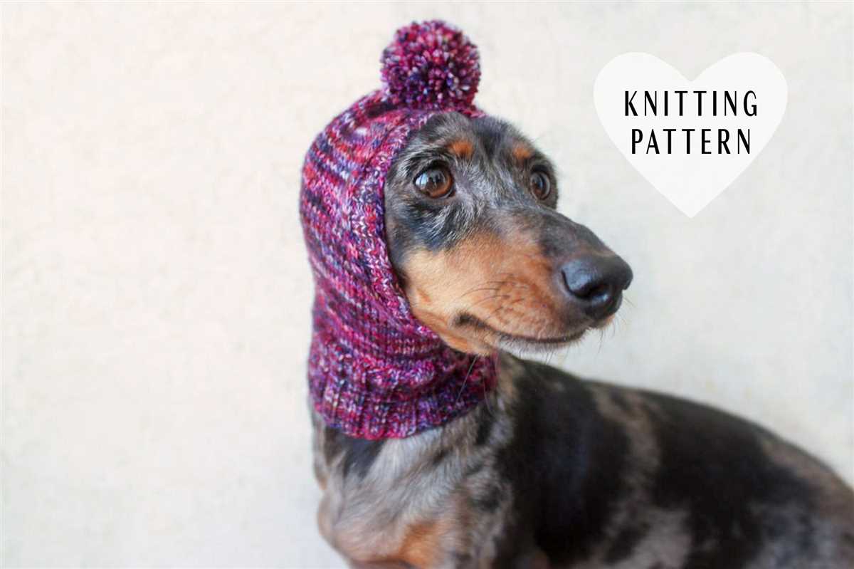 Easy dog hat knitting pattern