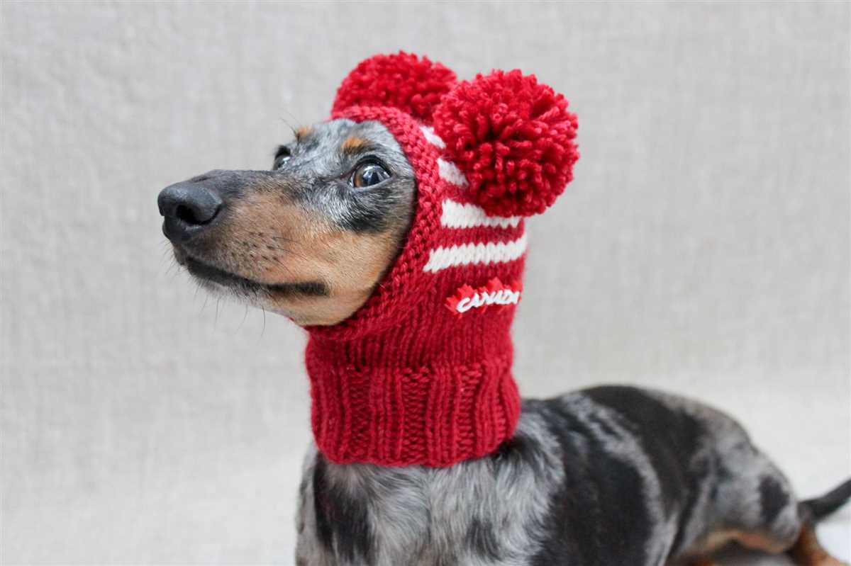 Christmas dog hat knitting pattern