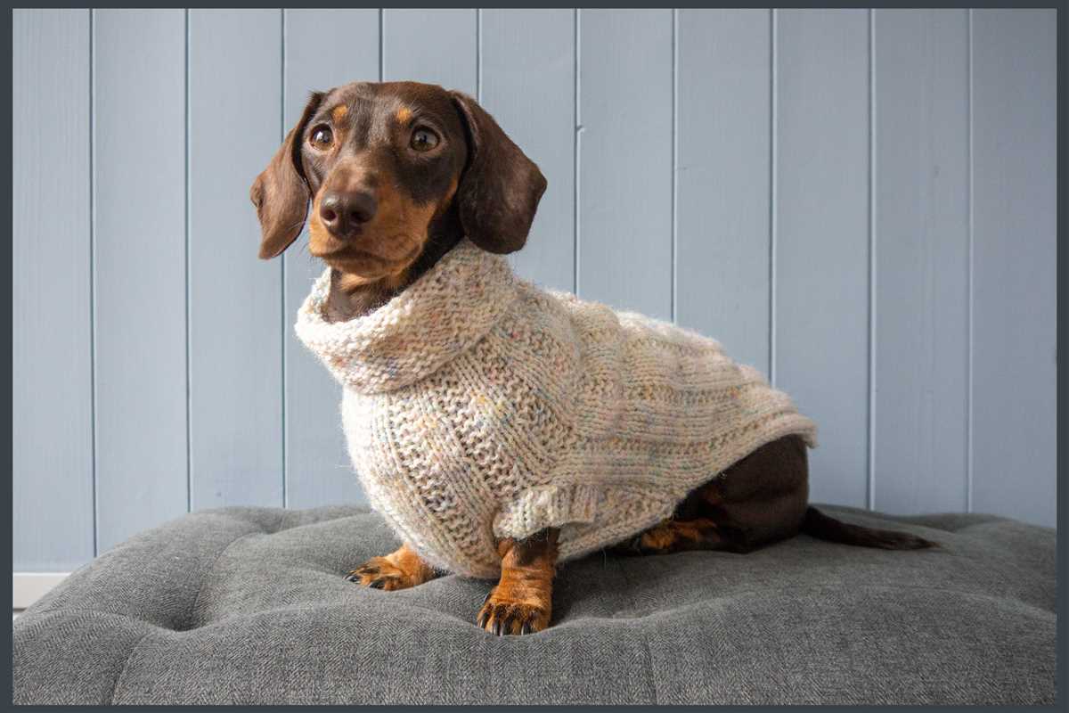 Dachshund jumper knitting pattern free