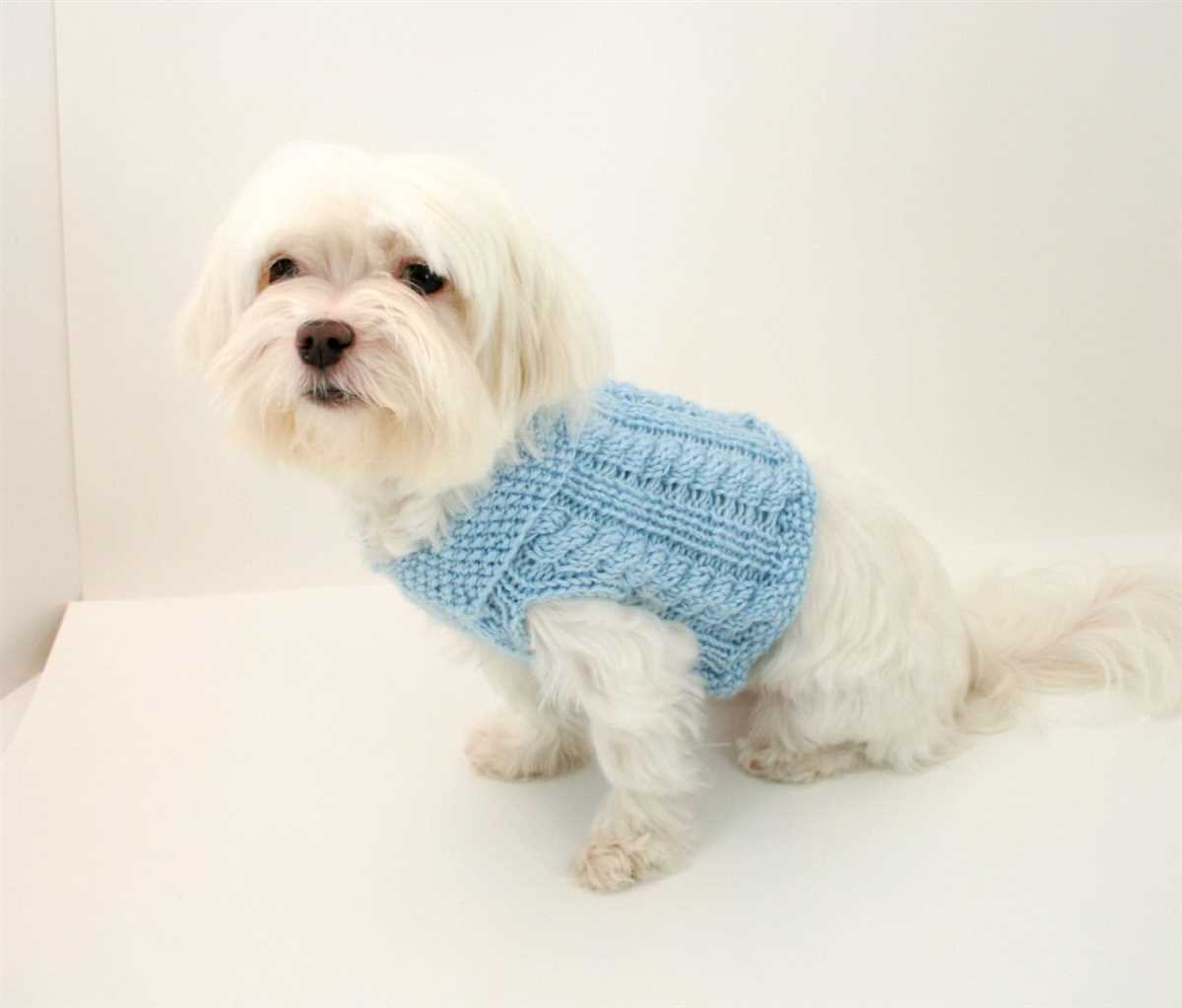 Knitting patterns for dog coats medium