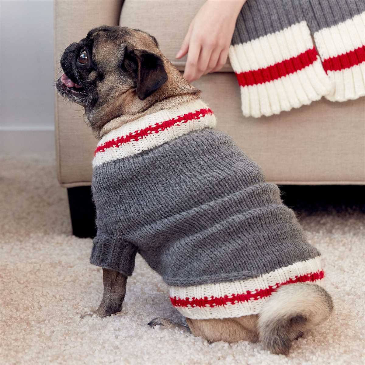 Harness-friendly dog sweater knitting pattern
