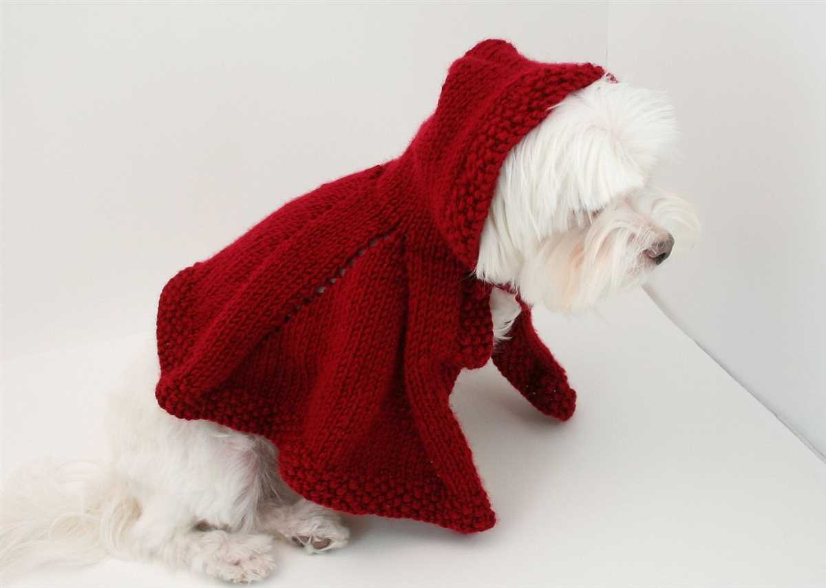Free knitting pattern for small dog coat