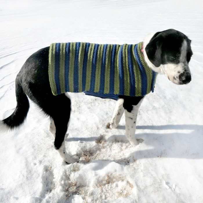 Easy knitting pattern for large dog sweater