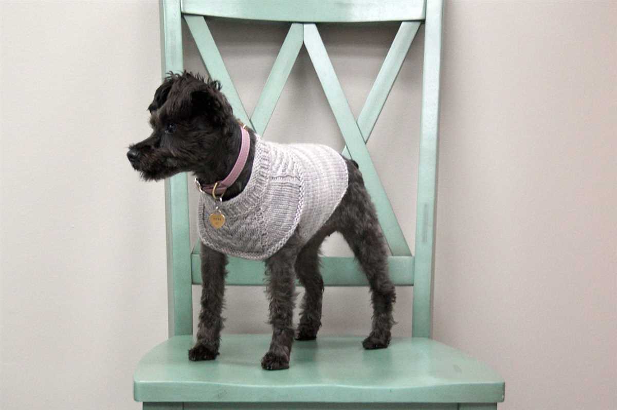 Harness-friendly dog sweater knitting pattern