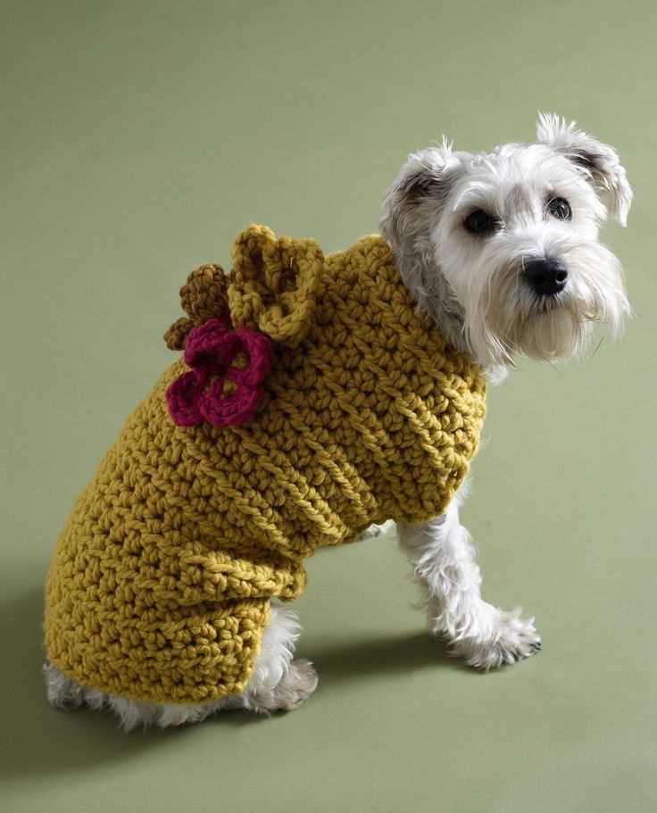 Easy knitting pattern for dog sweater beginner