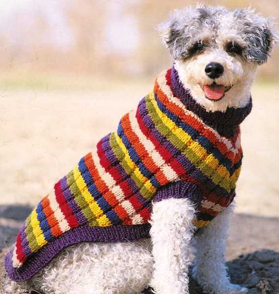 Knitting pattern for english bulldog sweater