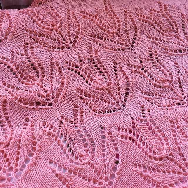 Daisy may knitting patterns