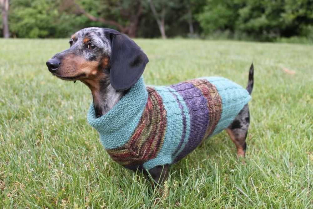 Dachshund knitting pattern