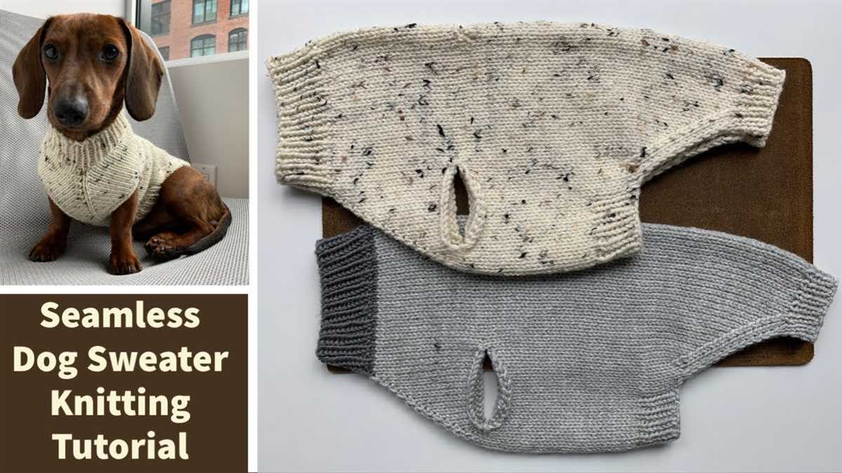 Knitting pattern for english bulldog sweater