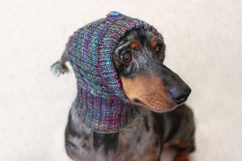 Dachshund knitting pattern