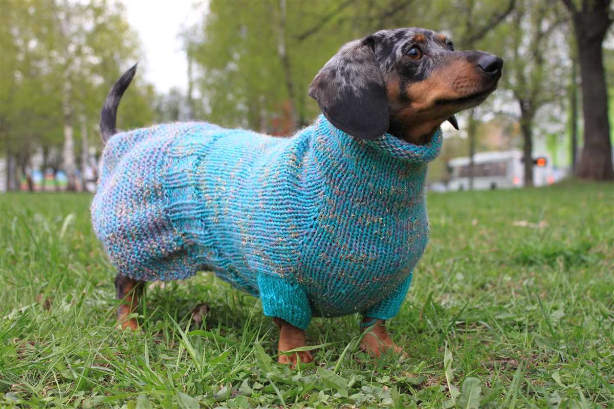 Miniature dachshund jumper knitting pattern free