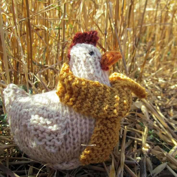 Knitting patterns for chickens