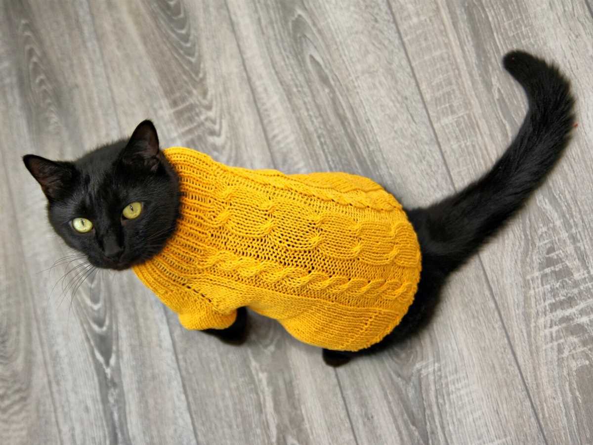 Free knitted cat sweater pattern