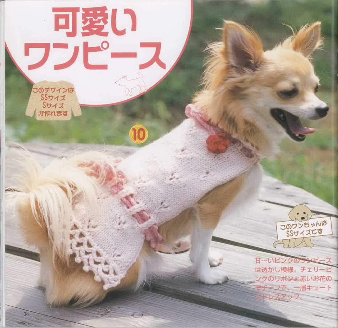 Free dog sweater knitting pattern straight needles for beginners