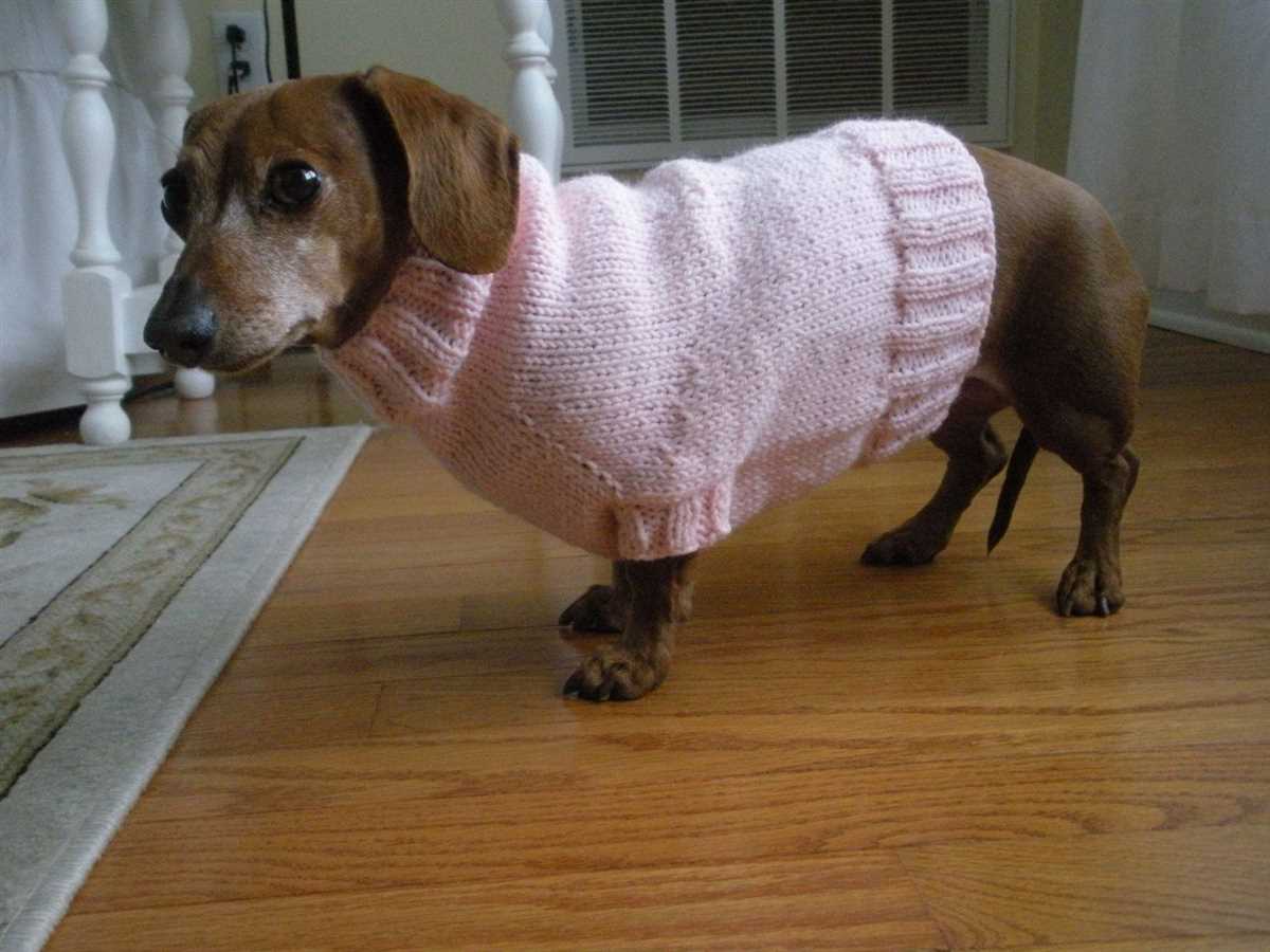 Dachshund jumper knitting pattern free